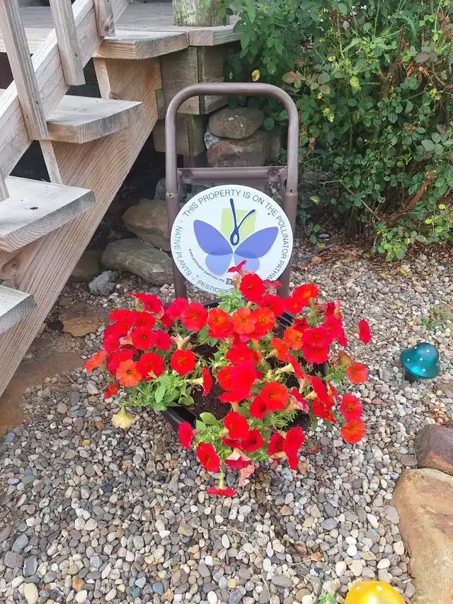 Building the BCF community garden — photo 2