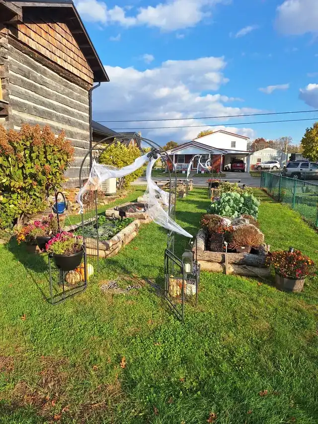 Building the BCF community garden — photo 6