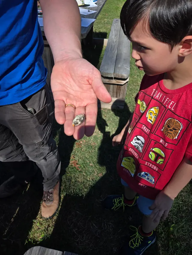 Building the BCF community garden — photo 12