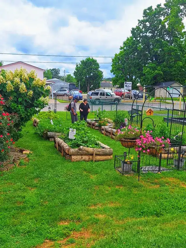 Building the BCF community garden — photo 16