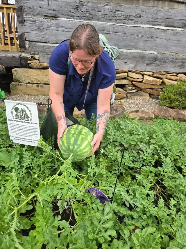 Building the BCF community garden — photo 17