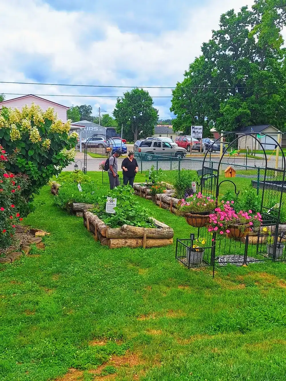 Raised garden beds in full summer bloom at the BCF community garden